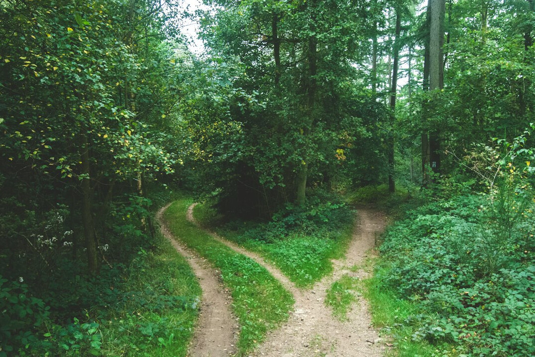 career advancement path
